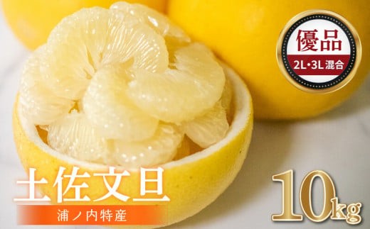 【早期予約開始 2027年2月頃より順次発送】 文旦 土佐文旦 10kg 2L ~ 3L サイズ 優品 贈答 果物 フルーツ 文旦 ぶんたん ブンタン 浦ノ内 みかん 蜜柑 柑橘 分担 旬 時期 予約開始 産地直送 美味しい おいしい 爽やか スイーツ おやつ デザート 皮 ピール 砂糖 漬け ビタミン ジューシー フレッシュ 新鮮 明神果樹園 高知県 須崎市