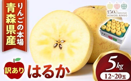 【訳あり】高級りんご【はるか】約5kg（12～20玉）【2025年産】★2025年12月上旬～2026年1月上旬頃まで発送予定★ りんご 林檎 リンゴ 訳あり はるか 国産 フルーツ 果物 希少 青森県 三戸町 H3022