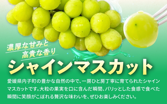 シャインマスカット しゃいんますかっと マスカット muscat 完熟 フルーツ くだもの 果物 人気 おすすめ