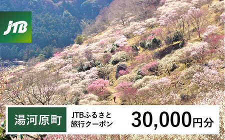 【湯河原町】JTBふるさと旅行クーポン（30,000円分）有効期間3年（Eメール発行） 湯河原温泉 宿泊