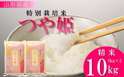 
                  【精米】竹原田ファームの特別栽培米つや姫10kg（5kg×2袋）
                