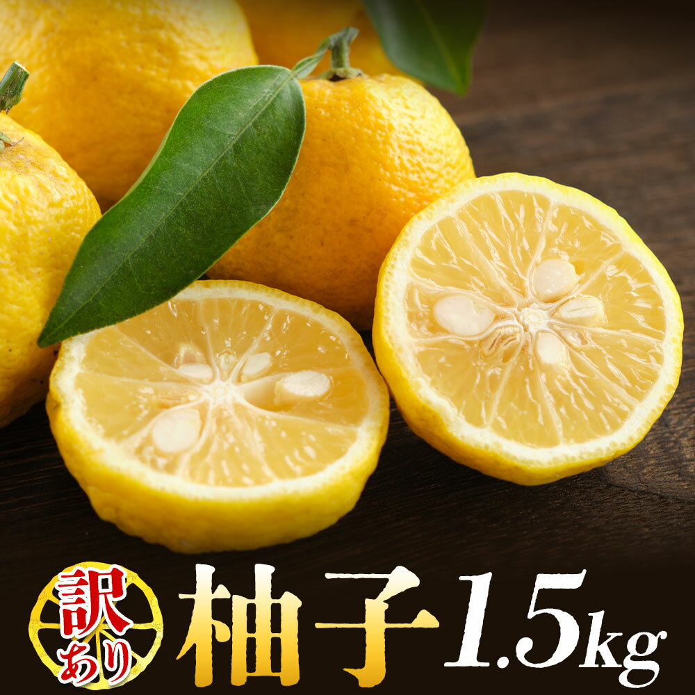 【ふるさと納税】ゆず 訳あり 柚子 約1.5kg 一般財団法人さなごうち《11月中旬-12月中旬頃発送》徳島県 佐那河内村 ゆず 柑橘 フルーツ 旬【配送不可地域あり】※離島