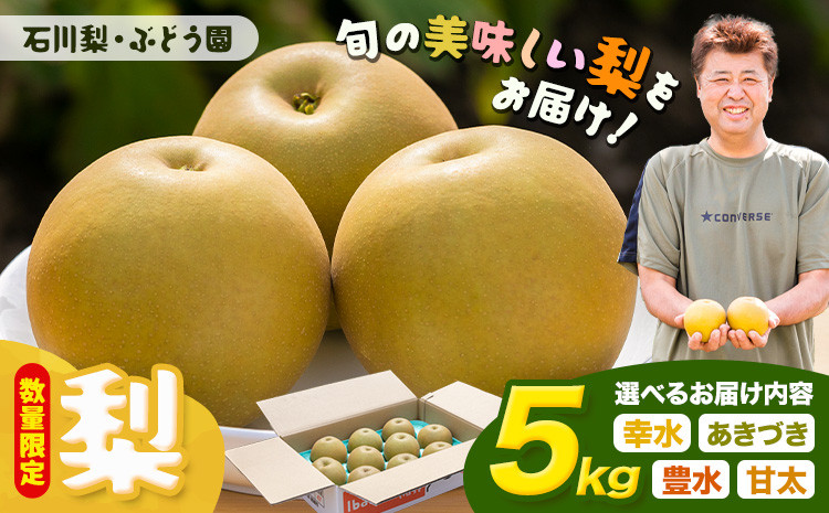 
                  【先行予約・数量限定】梨 約5kg 選べる品種 幸水 豊水 あきづき 甘太 石川梨・ぶどう園《8月上旬-10月上旬頃出荷》茨城県 結城市 梨 ナシ なし 果物 フルーツ 幸水 こうすい 豊水 ほうすい あきづき 甘太 かんた【配送不可地域あり】（離島）
                