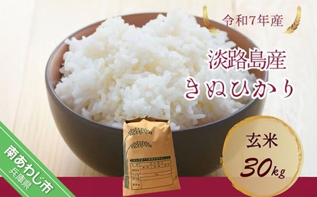 令和7年産新米　淡路島産キヌヒカリ　玄米30kg