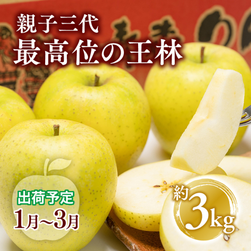 【全国ふじコンテスト最高賞受賞・青森りんご・平川市広船産・1月・2月・3月発送】年明け 　家庭用　親子三代最高位の王林 約3kg