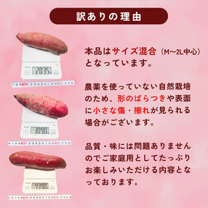 【2027年1月以降発送】 【訳あり】 舞鶴産 熟成さつまいも 5kg （紅はるか） 無選別 M～2L混合