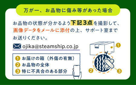 【先行予約】【小値賀町産】 大玉スイカ 1玉（約6から8kg）スイカ 長崎県産 フルーツ 果物[DAB082]