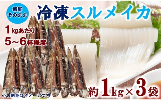 
                  三陸水産 冷凍スルメイカ 約3kg （約1kg×3袋） イカ 刺身 いかの塩辛 いかめし いかげそ イカ焼き フライ いかソーメン 新鮮 海産物 魚介 使いやすい 便利 ふるさと納税 おすすめ
                