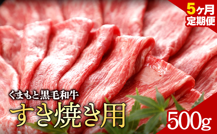 【5ヶ月定期便】牛肉 くまもと黒毛和牛 すき焼き用 500g 定期便 5回 株式会社KAM Brewing《お申込み月の翌月から出荷開始》