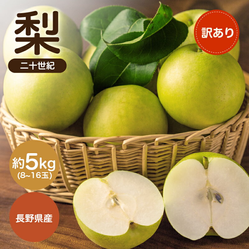 【ふるさと納税】【2026年先行予約】南信州産 二十世紀 約5kg 訳あり 8〜16玉 | 二十世紀 梨 なし ナシ 果物 くだもの フルーツ 信州 南信州 送料無料 ふるさと納税 長野県 飯田市 K35