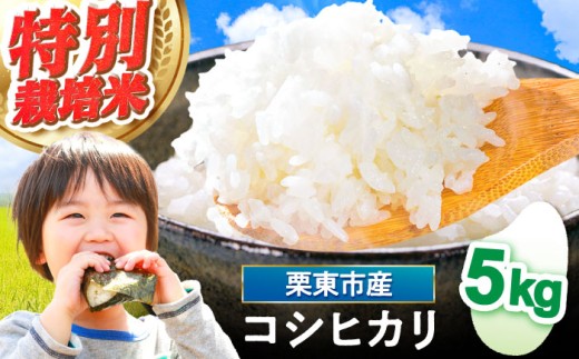 令和7年度産 栗東産 特別栽培米 コシヒカリ 5kg / ご飯 ごはん ゴハン 令和7年産 / 栗東市 / レーク滋賀農業協同組合[BIBV007]