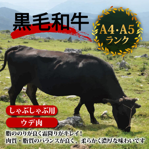土佐 黒毛 和牛 しゃぶしゃぶ用 1.2kg （ 400g × 3パック ） | 特撰 ウデ肉 肩肉 最上位等級 A4 A5 最高ランク 贅沢 しゃぶしゃぶ　鍋 スライス 焼肉用 小分け 冷凍 国産 