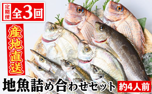 C09002 【3回定期便】魚屋さんの選んだ新鮮お魚詰め合わせ(約4人分) 鹿児島 国産 九州産 産直 産地直送 鮮魚 新鮮 魚 海産物 お刺身 煮つけ 焼き魚【マルケイ水産】