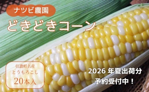 2026年夏の早期予約受付開始！ナツビ農園『どきどきコーン』20本セット（約9kg相当）生でも食べられる信濃町名産とうもろこし／白と黄色のバイカラー品種 令和8年7月下旬～8月下旬に出荷予定【長野県信濃町ふるさと納税】
