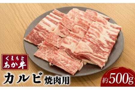 牛肉 くまもとあか牛 カルビ 焼肉用 約500g×1パック
