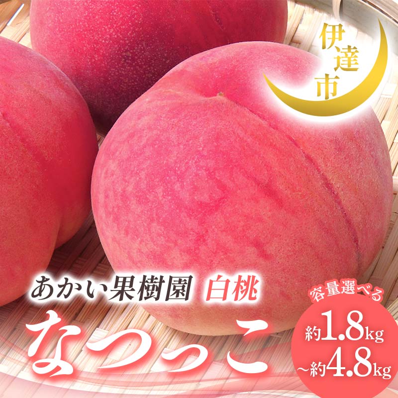 【ふるさと納税】＼選べる容量／【2026年出荷分先行予約】福島県産 なつっこ 約1.8kg 約2.8kg 約4.8kg あかい果樹園 桃 贈り物 贈答 ギフト 伊達の桃 桃 フルーツ 果物 もも モモ momo F21C-004var