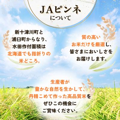 ふるさと納税 浦臼町 【先行予約 令和8年産】浦臼町産　ゆめぴりか(精米)10kg　特A　お米 |  | 02