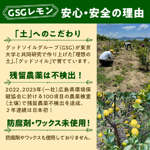 【限定100セット】GSGレモン～残留農薬不検出～ 約3kg