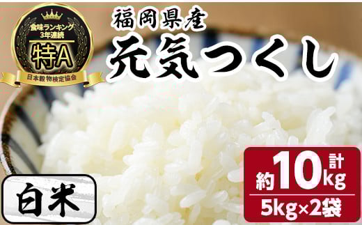 白米 元気つくし(計10kg・5kg×2袋) お米 こめ コメ 精米 ブランド米 10キロ ごはん ご飯 常温 常温保存【ksg1330-A】【おどろきっちん】
