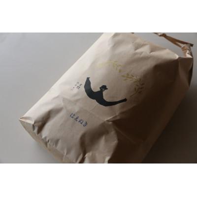 ふるさと納税 南陽市 【令和7年産】山形県産はえぬき　精米5kg　【S1680】 |  | 01