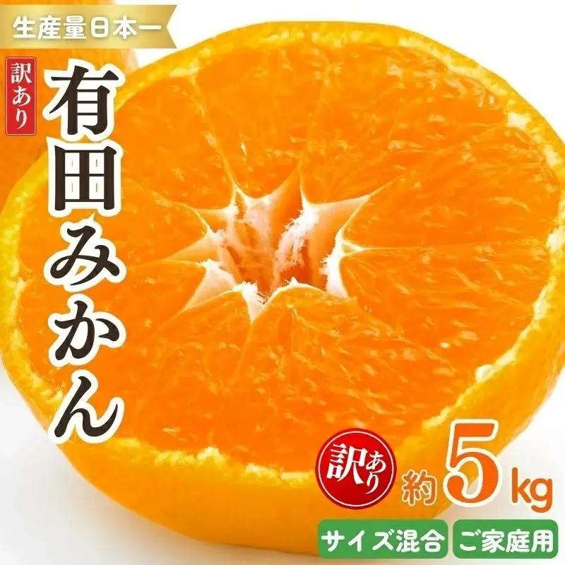 紀州有田みかん 訳あり 約5kg ご家庭用 サイズ混合　※2026年11月下旬から順次発送予定　※北海道・沖縄・離島配送不可 | みかん ミカン 蜜柑 フルーツ 果物 くだもの 訳ありみかん 家庭用 旬 産地直送 予約【sml130A】