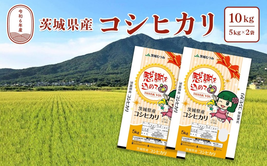 
K2086 【令和6年産】茨城県産こしひかり10kg(5kg×2袋) 白米 JA茨城むつみ
