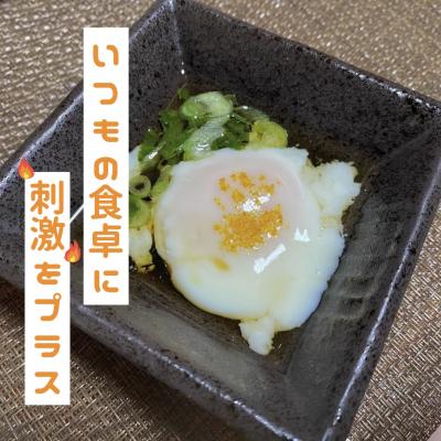 ふるさと納税 熊野市 【テレビで紹介されました】熊野唐辛子ギフト19(一味唐辛子(黄とうがらし・ハバネロ)+生唐辛子) |  | 02