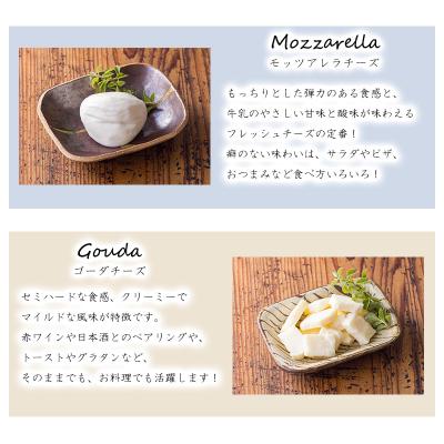 ふるさと納税 高原町 チーズ工房フェルミエ自家製チーズ3種詰め合わせ〔モッツァレラ ゴーダ アンティパスティ〕　TF620 |  | 01