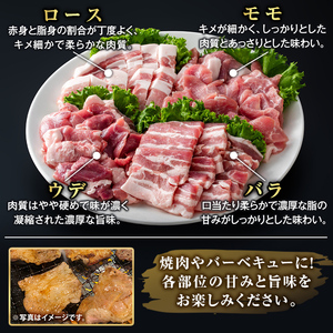 K-379-A 鹿児島県産霜降りトロ豚 焼肉用バラエティセット(合計1kg)【KNOT】霧島市 ロース バラ ウデ モモ 焼き肉 ヤキニク 豚肉 国産 鹿児島県産 肉 精肉 小分け セット 食べ比べ
