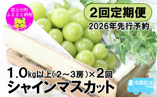 【ふるさと納税】【2026年先行予約】【2回定期便】頬張る幸福感 ～緑の宝石・シャインマスカット～ 計2kg（1.0kg以上・2～3房を2回[9月上旬・下旬]お届け）※冷蔵発送※　ぶどう 葡萄 ブドウ 定期便 果物 くだもの フルーツ 山梨 やまなし 富士川町 シャインだけ