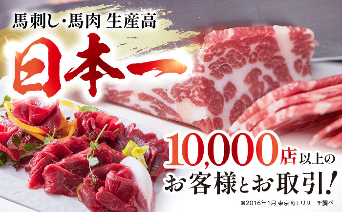 【全6回定期便】国内肥育 馬刺し 特選赤身 約500g 専用タレ付き 熊本 山都町 冷凍 馬肉 馬刺 ヘルシー 小分け【有限会社 丸重ミート】[YAK028]