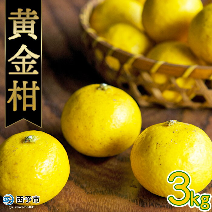 【ふるさと納税】先行予約 ＜無茶々園の黄金柑 約3kg（30～60玉）＞ フルーツ 果物 おうごんかん みかん ミカン 柑橘 期間限定 季節限定 無茶々園 特産品 愛媛県 西予市【常温】『2026年3月下旬～4月末迄に順次出荷予定』