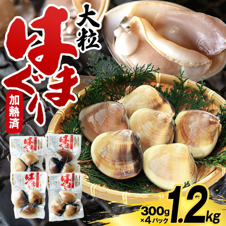 【ふるさと納税】 茨城県産 大粒はまぐり 加熱済 300g×4パック 国産 はまぐり ハマグリ 鹿島灘産 砂抜き不要 調理簡単 酒蒸し お吸い物 つくだ煮 貝専門店の厳選品 贈答用 ギフト 常温 茨城県 潮来市 (023-0169)