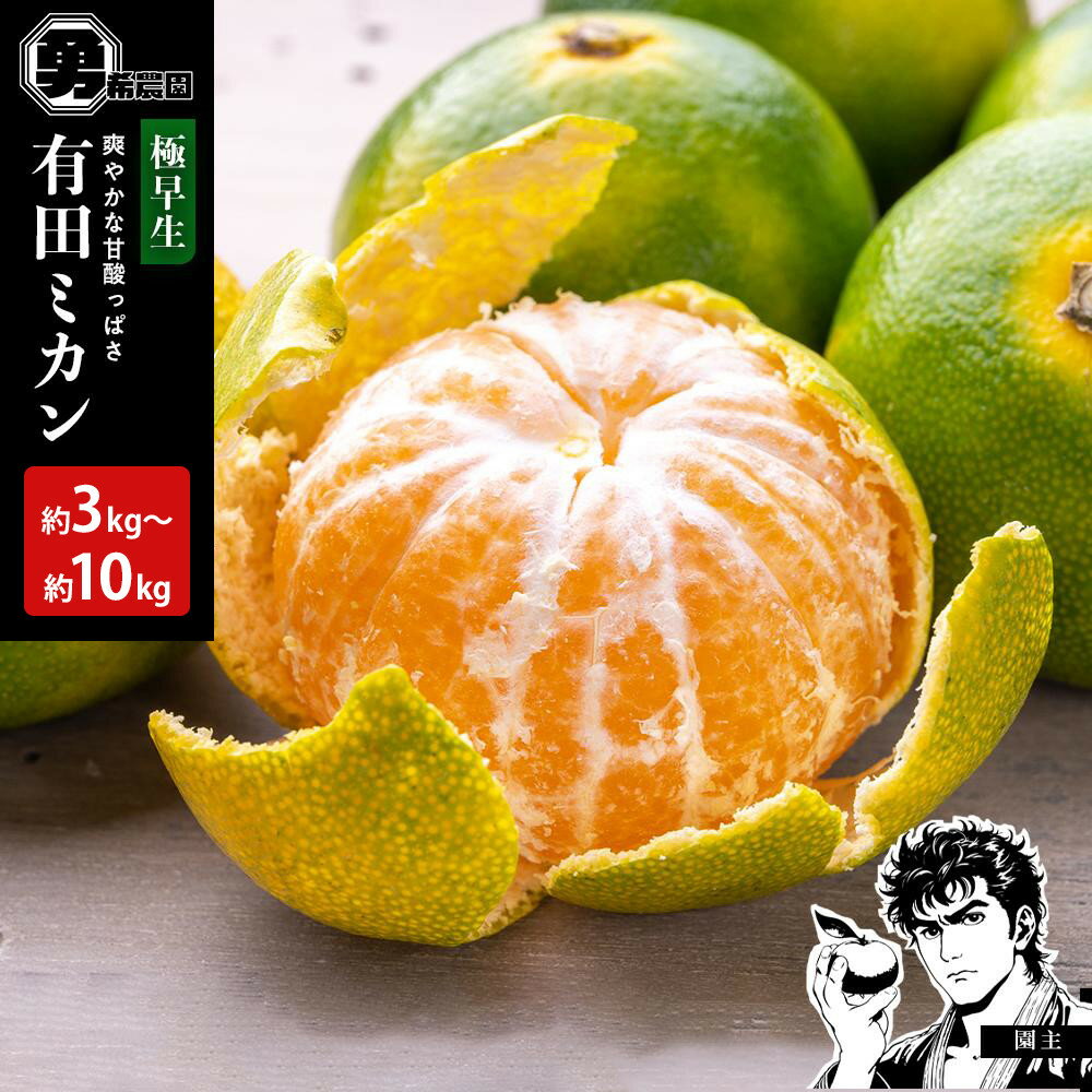 【ふるさと納税】【選べる容量】先行予約極早生みかん 約3kg～10kg サイズ混合 和歌山県 有田みかん 2025年10月中旬頃発送 | みかん 蜜柑 フルーツ 果物 くだもの 食品 人気 おすすめ 送料無料