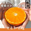 【ふるさと納税】創業百八年 愛媛みかんの老舗【せとか2kg】家庭用【新口農園】【C70-8】_ みかん ミカン 柑橘 フルーツ 果物 くだもの 青果 せとか 産地直送 産直 愛媛 甘い ジューシー 常温 家庭用 希少 【1451139】