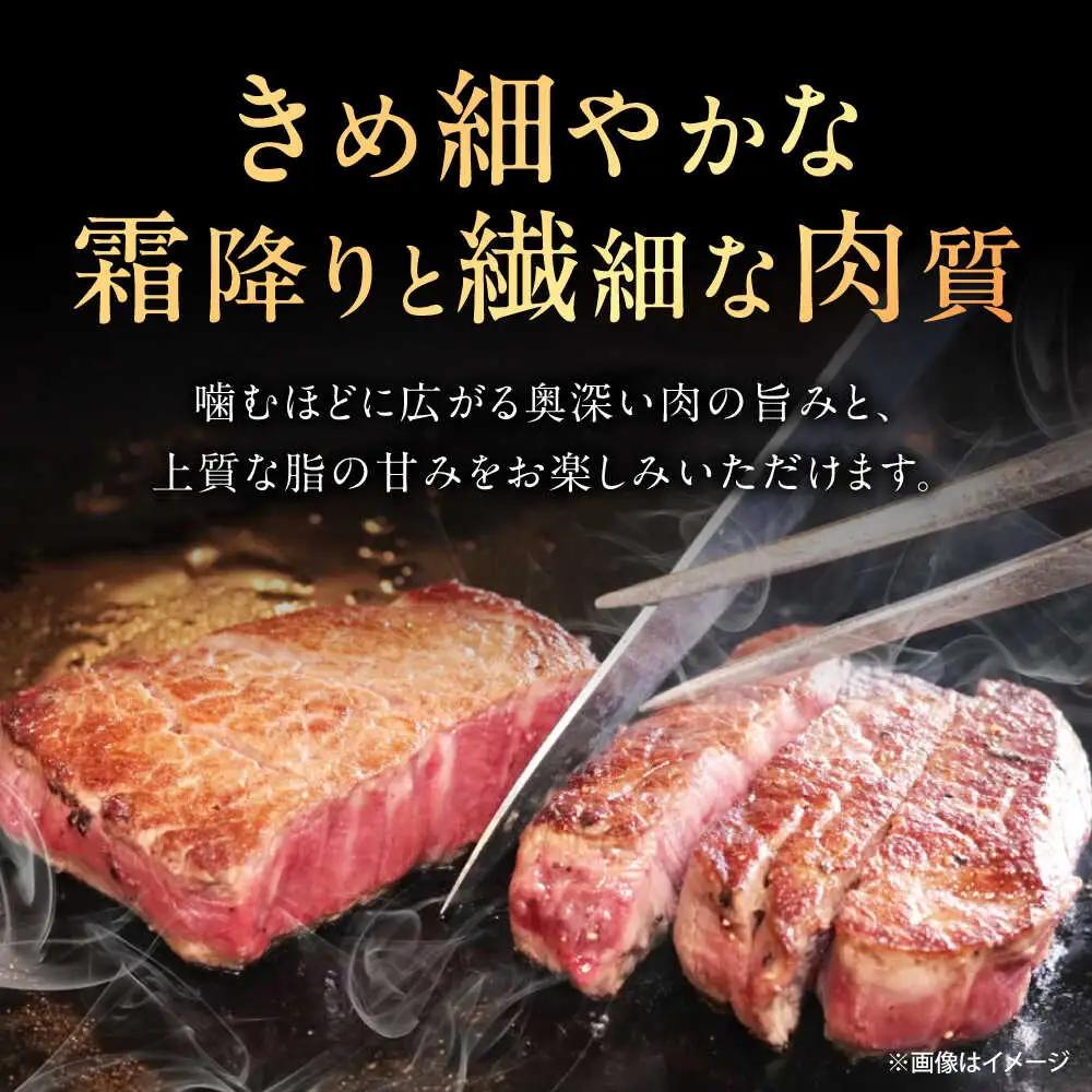 【12回定期便】佐賀牛 サーロインステーキ 500g /MKミート武雄[UEM023] サーロイン