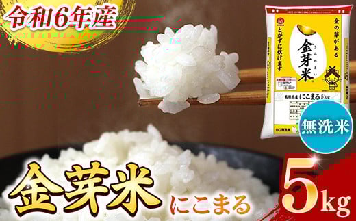 
            BG無洗米・金芽米にこまる 5kg 【令和6年産 時短 健康 カロリーオフ うまみ 甘み 栄養 おいしい やわらかい ふっくら  ビタミン ミネラル 島根県 安来市】【価格変更】
          
