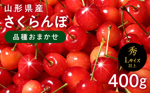 FYN6-252 ≪2026年先行予約≫山形県産 さくらんぼ 品種おまかせ(佐藤錦・紅秀峰など) 400g 秀/L以上 バラパック詰め 2026年6月中旬頃より発送 果物 くだもの フルーツ 夏果実 サクランボ チェリー 桜桃 高級 化粧箱 ギフト箱 贈り物 贈答 ギフト プレゼント 自宅 家庭 産地直送 山形県 西川町 月山
