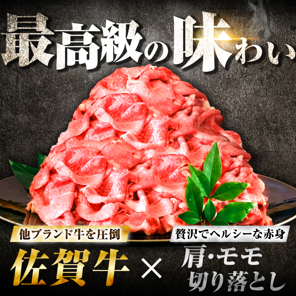 【7営業日以内発送！】 佐賀牛 肩・モモ切り落とし 500g 吉野ヶ里町/丸宗ミート [FDP019]