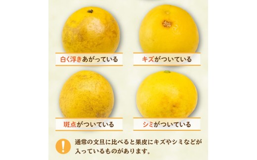 【早期予約】 文旦 秀品 5kg 2025年2月下旬?順次発送 秀品 5kg