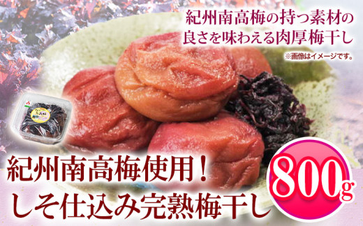 紀州南高梅使用しそ仕込み完熟梅干し800g厳選館《90日以内に出荷予定(土日祝除く)》紀州南高梅梅干ししそ仕込み---wshg_genskume_90d_22_13000_800g---