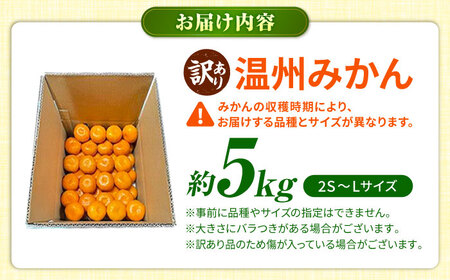 【先行予約】【訳あり】 温州みかん 5kg 極早生 早生 中生 晩生 みかん 【池田農園】[ZEX006]