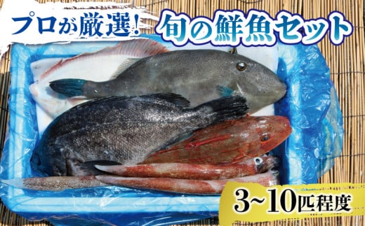 
鮮魚 旬 獲れたて セット 3～10匹 鮮魚BOX お楽しみ おまかせ 詰め合わせ 魚介類 アジ 鯵 スルメイカ ヒラメ メバル イサダ ワカメ タラ 牡蠣 福袋 10000円 1万円
