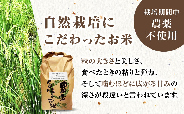 栽培期間中農薬不使用 令和6年産 佐賀県産ゆうだい21 玄米5kg/鶴ノ原北川農園 [UDL024]