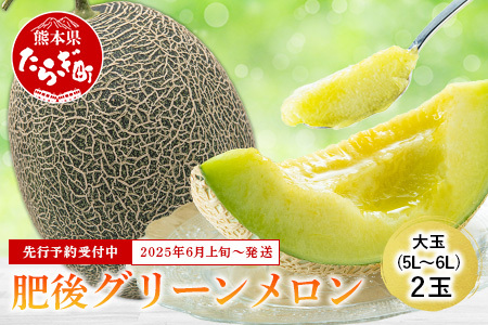 【2026年6月上旬順次発送 先行予約】大玉 肥後グリーンメロン 2玉 約4.6kg以上 熊本県産【 果物 フルーツ グリーンメロン 先行予約 4.6kg 青肉 期間限定 数量限定 熊本県 多良木町 】 101-0001