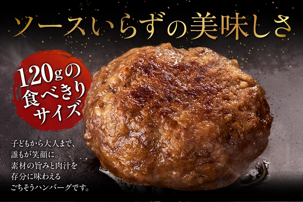 知多牛100％手作りハンバーグ　120g×6個入り