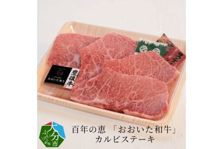 A01062　百年の恵 「おおいた和牛」 カルビステーキ約400g