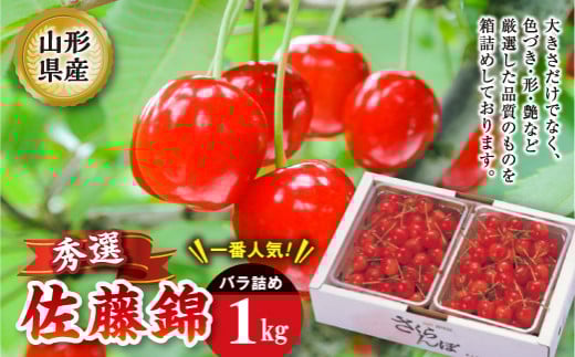 《先行予約 2025年度発送》佐藤錦 秀選バラ詰め【1kg】 FSY-2206