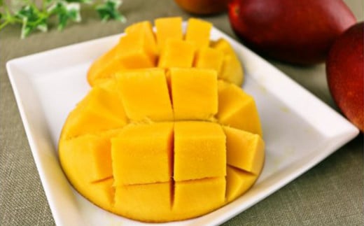 【化粧箱入】【先行受付・2026年発送】神谷ファームのマンゴー（極）約4Kg - 先行予約 沖縄県産 産地直送 南国フルーツ 旬の味覚 季節の果物 贈り物 ギフト 沖縄県 八重瀬町