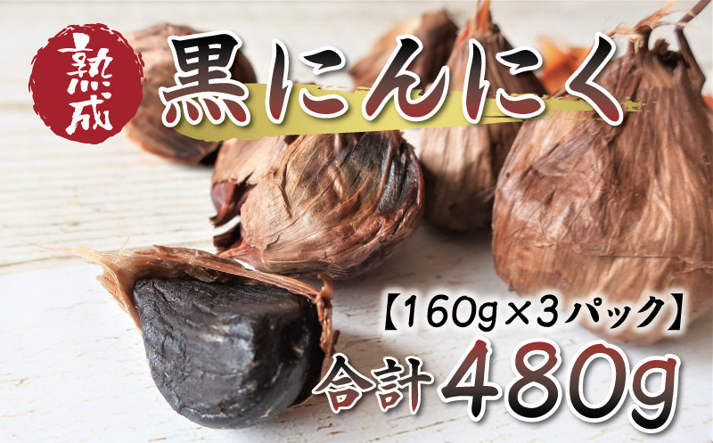 
            熟成 黒にんにく 合計 480g （ 160g × 3パック ）10000円 にんにく 黒ニンニク ガーリック ニンニク 産地直送 国産 農家直送 期間限定 数量限定 おいしい 人気 限定 野菜 健康 オーガニック 加工品 おすそわけ 小分け 個包装 真空 パック 不揃い 宮谷農園 愛南町 愛媛県
          